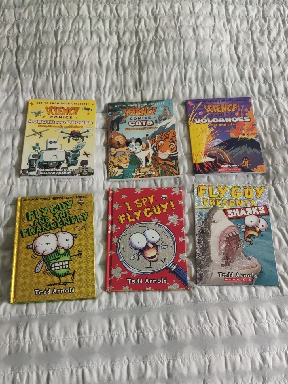 Lot Of 6 Childrens Books Graphic Novel Educational Y2K Retro Young Readers